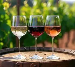 IAHC Wine Tasting